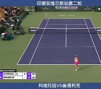 在线体育-科维托娃爆冷击败老鹰清晨北京国安调整名单以备德甲，大坂直美连续五场比赛得分超过势不可挡直接炸裂的简单介绍